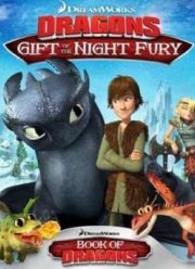 Как приручить дракона: Дар ночной фурии (2011)