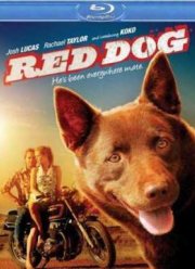 Рыжий пес (2011)