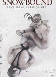 Занесенные снегом / Снежные связи (2017)