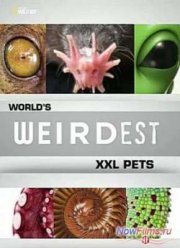 Самые странные в мире питомцы: XXL (2013)