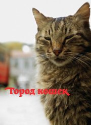Город кошек (2016)