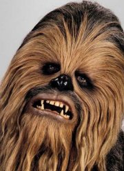 ��������� ��������� ������� � ������� ����