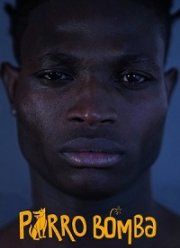 ������-����� (2019)