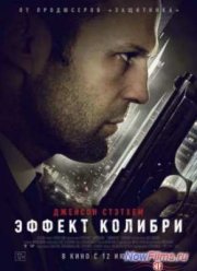 Эффект колибри (2013)