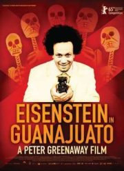Эйзенштейн в Гуанахуато (2015)