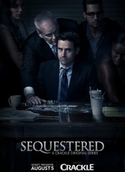 Присяжные (2014)