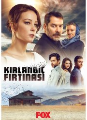 Шторм ласточки (2017)