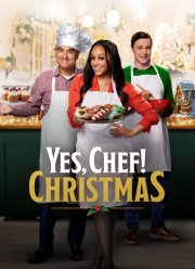 Да, шеф! Рождество (2023)