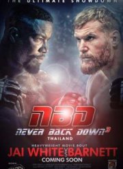 Никогда не сдавайся 3 (2016)