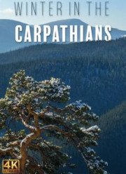 Зима в Карпатах (2017)