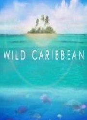 BBC: Дикая природа Карибских островов. Острова сокровищ (2007)