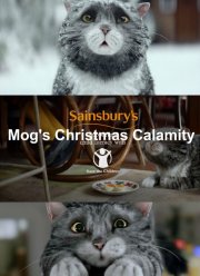 �������������� ����������� ��� (2015)