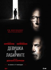 Девушка в лабиринте (2020)