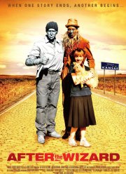 После волшебника (2011)