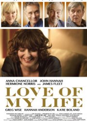 Любовь всей моей жизни (2017)