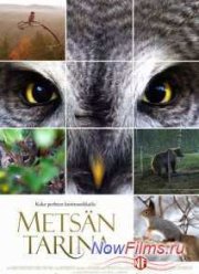 Чудесный лес (2012)