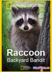 National Geographic: Нашествие енотов (2014)