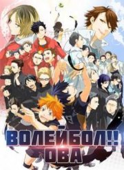 Волейбол!! ОВА (2015)