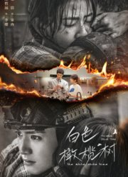 ����� ��������� ������ (2025)