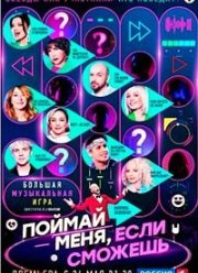 Поймай меня, если сможешь! (1-2 Сезон)