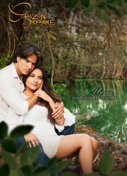 Непокорное сердце (2013)