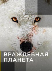 ���������� ������� (2019)