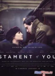 Воспоминания о будущем / Заветы юности (2015)