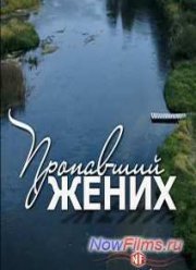 Пропавший жених (2015)