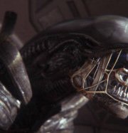 ������ ����� � ����� ������ ������: ����� �� ����� ������