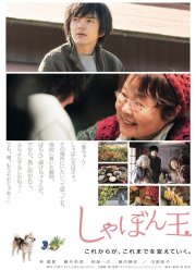 Мыльный пузырь (2017)