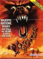 В тени Килиманджаро (1986)