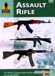 Штурмовые винтовки (2011)