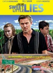 Маленькая ложь (2011)