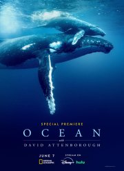 ����� ���������: ����� (2025)