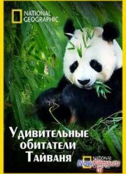 Смотреть Удивительные обитатели Тайваня (2011)