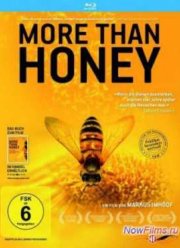 Смотреть Больше чем мёд (2012)
