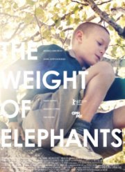 Вес слонов (2013)