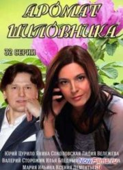 Аромат шиповника (2014)