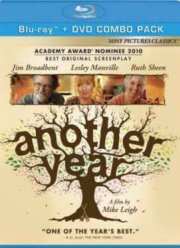 Еще один год (2010)