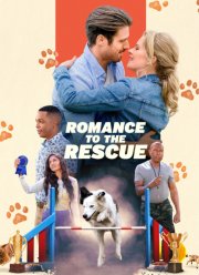 ����������� ����� (2022)