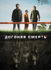 ������� ������ (2019)