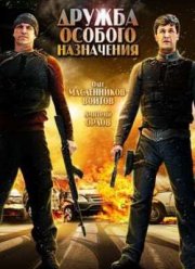 Дружба особого назначения (2012)