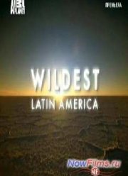 В дебрях Латинской Америки (2012)