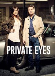 Частные сыщики (1-5 Сезон)