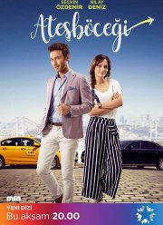 Светлячок (2017)