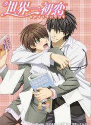 Лучшая в мире первая любовь (2011)