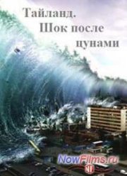 Тайланд. Шок после цунами (2014)