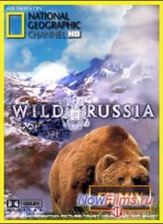 Дикая природа России (2009)