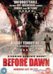 Перед рассветом (2012)