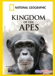 ����������� �������: ���� �� ����� (2014)